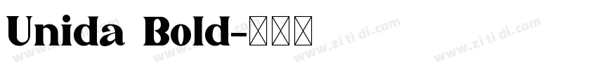 Unida Bold字体转换